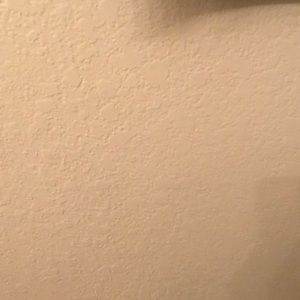 Meet your Posher, Sampson